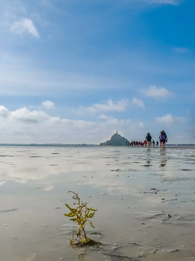 Traversée de la baie du Mont Saint-Michel à pied avec un guide agréé
