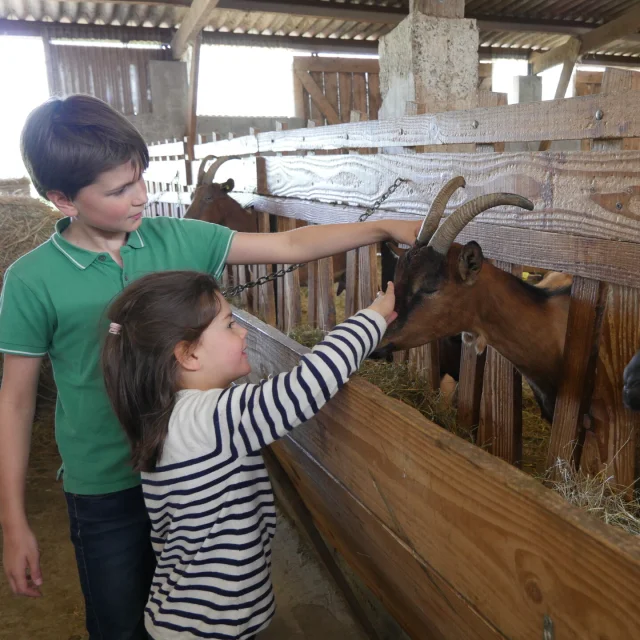 C'est toi le fermier at Ferme de la Chèvre Rit as part of the Festi'Récré festival