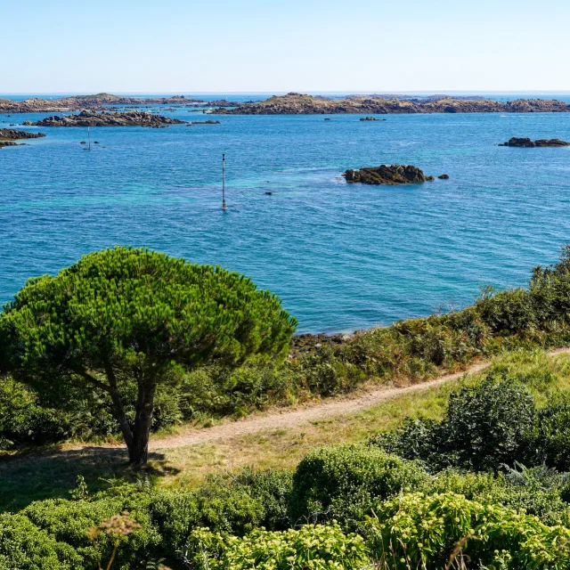 Wanderweg auf der Grande Île de Chausey