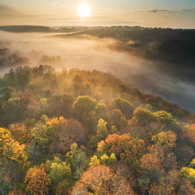 Sunrise over the Lucerne forest