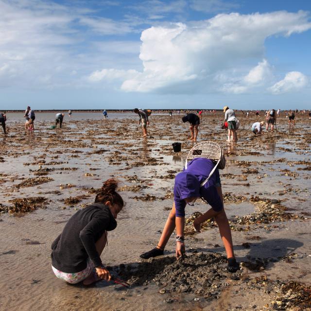 Pêche à Pied Et Baignade - Dinan Agglomération