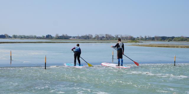 Stand Up Paddle in La Vanlée harbour