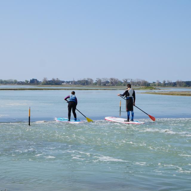 Session de Stand Up Paddle dans le havre de la Vanlée