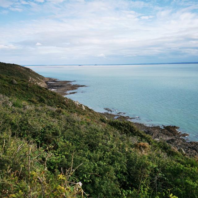 Vue sur Tombelaine et le Mont Saint-Michel depuis les falaises de Champeaux et de Carolles