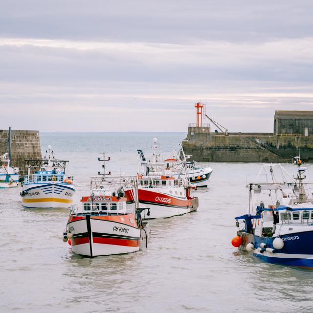 La Debarque Dans L Avant Port De Peche Credit Otgtm Cecile Ballon 36701 1920px