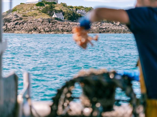 Malo Copyright Cecile Ballon Bd5