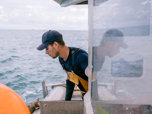 Malo Copyright Cecile Ballon Bd7