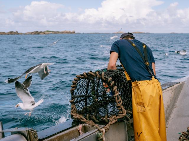 Malo Copyright Cecile Ballon Bd8