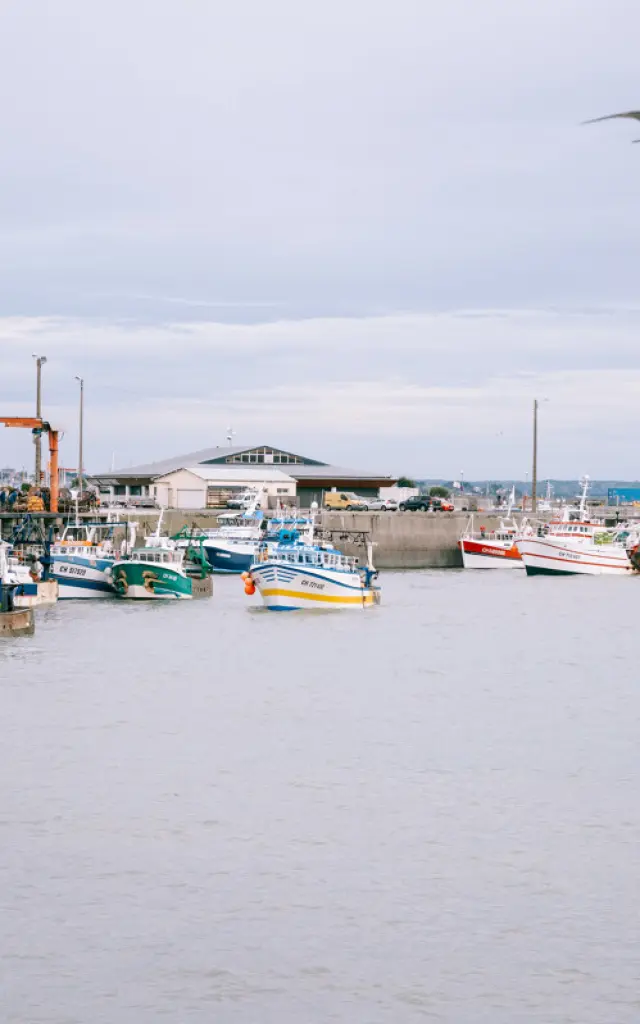 La Debarque Dans L Avant Port De Peche Credit Otgtm Cecile Ballon 36701 1200px