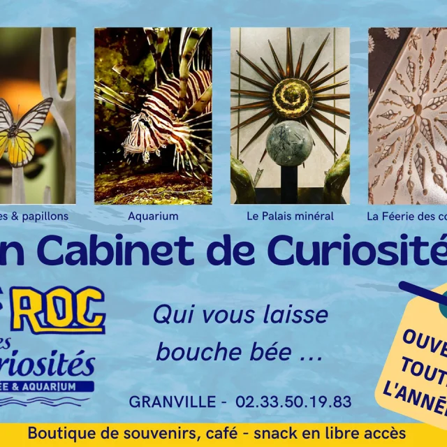 A Cabinet of Curiosities - 1