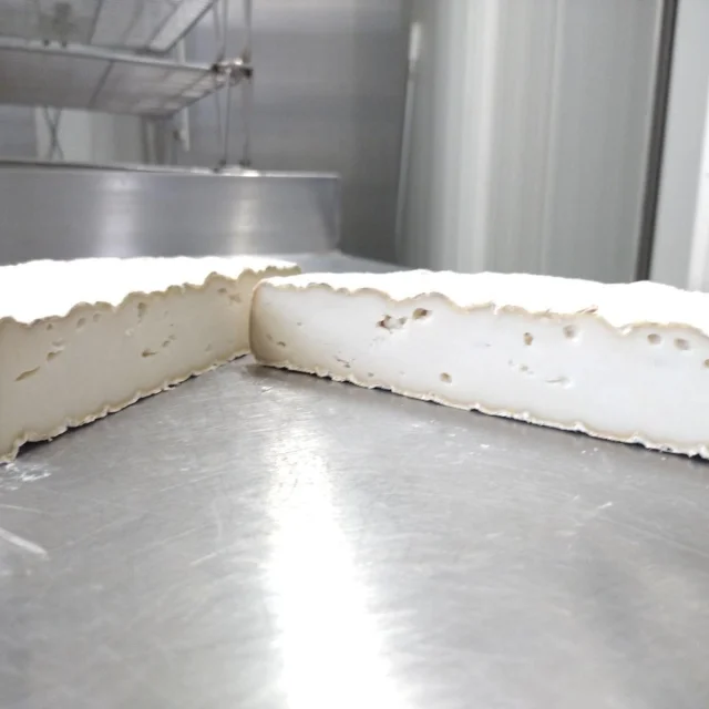 Camembert Milk Chevre