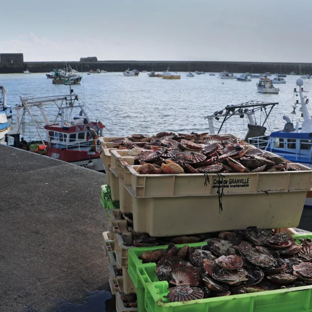 La Debarque Dans L'Avant Port De Peche Credit Otgtm Marie Claude Vergne 36058 1920px