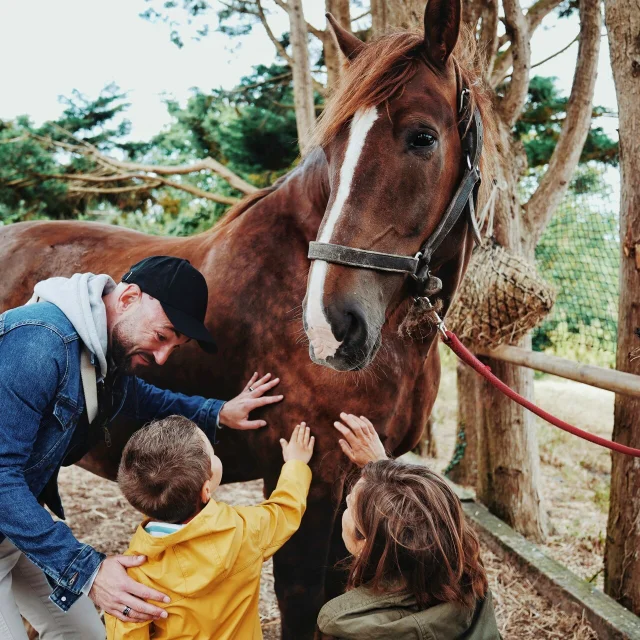 Expérience attelage entre terre et mer