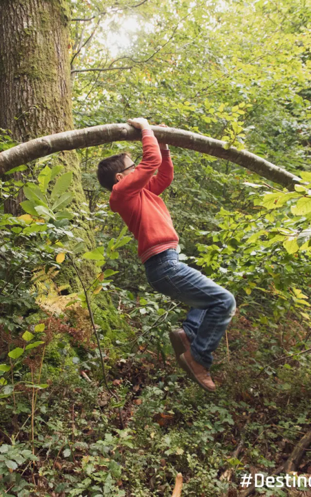 Acrobatie Dans La Foret De La Lucerne Credit Otgtm Philippe Fauvel 28916 1200px