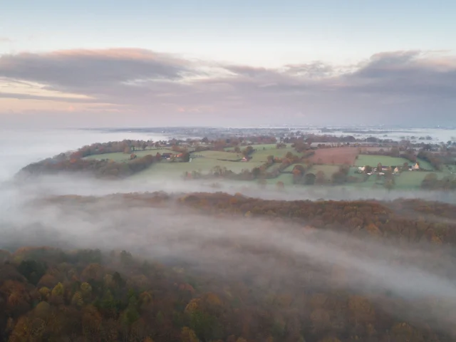 La forêt de La Lucerne sous la brume