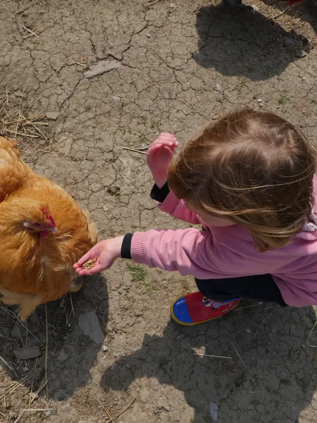 C Est Toi Le Fermier A La Ferme De La Chevre Rit Credit Otgtm Estelle Cohier 35892