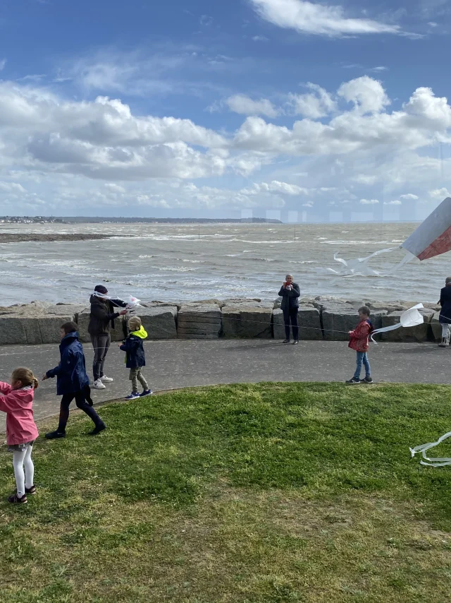 Kite 1