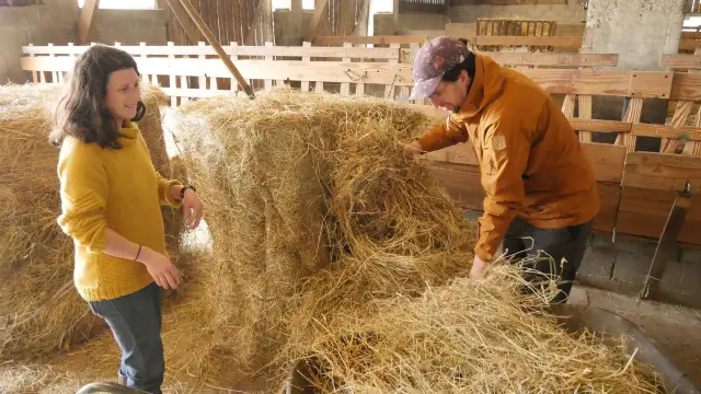 Woofing A La Ferme De La Chevre Rit Credit Otgtm Estelle Cohier 37925 1920px 13