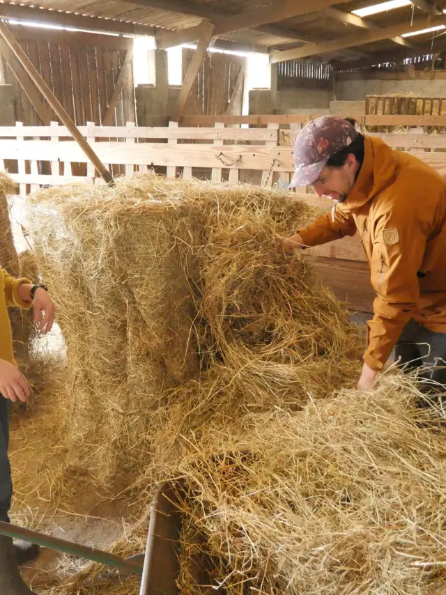Woofing A La Ferme De La Chevre Rit Credit Otgtm Estelle Cohier 37925 1920px 13