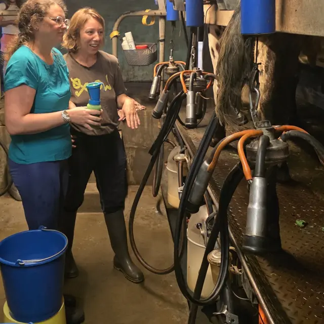 Je M Immerge Dans Le Quotidien Paysan De La Ferme Du Manoir D Anctoville