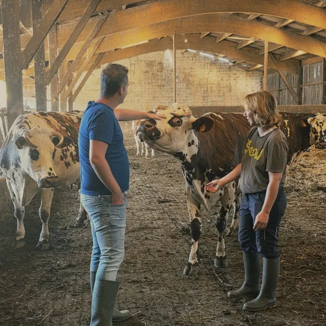 Je M Immerge Dans Le Quotidien Paysan De La Ferme Du Manoir D Anctoville
