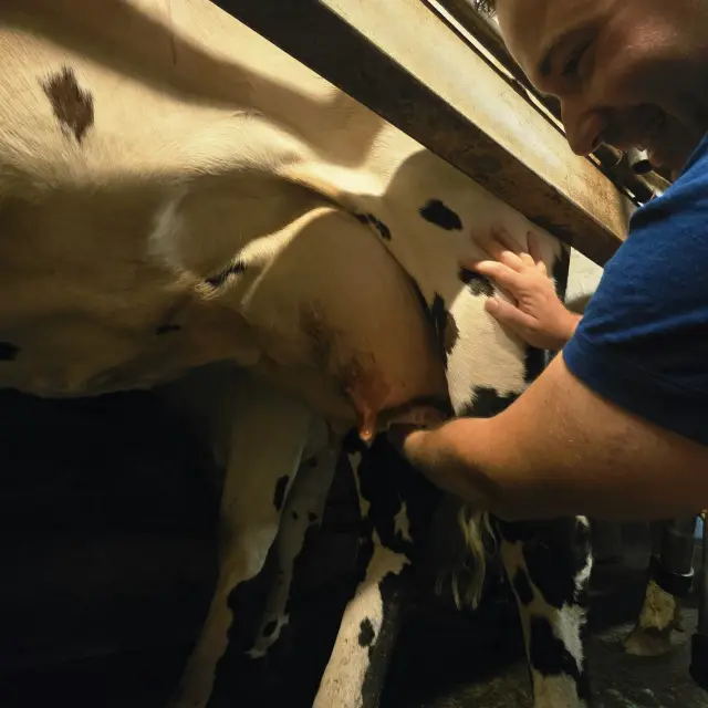 Je M Immerge Dans Le Quotidien Paysan De La Ferme Du Manoir D Anctoville