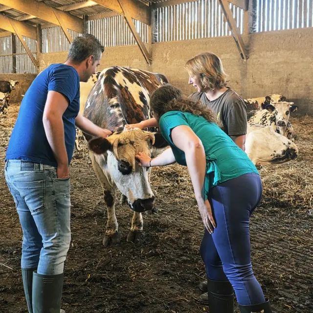 Je M Immerge Dans Le Quotidien Paysan De La Ferme Du Manoir D Anctoville