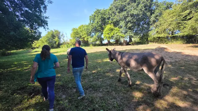 Je M Immerge Dans Le Quotidien Paysan De La Ferme Du Manoir D Anctoville Credit Otgtm Estelle Cohier 1896 1920px 19