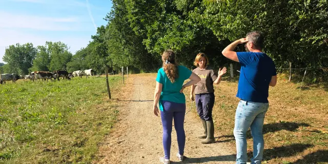 Je M Immerge Dans Le Quotidien Paysan De La Ferme Du Manoir D Anctoville Credit Otgtm Estelle Cohier 1896 1920px 14