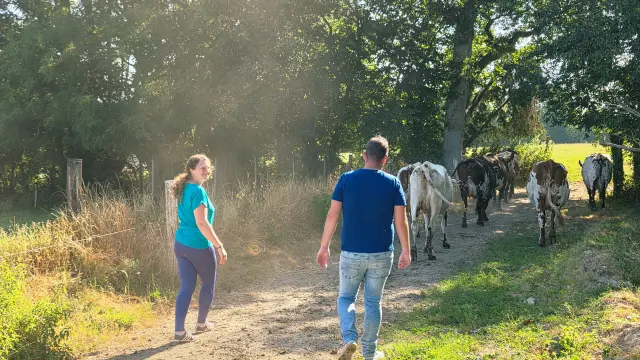 Je M Immerge Dans Le Quotidien Paysan De La Ferme Du Manoir D Anctoville Credit Otgtm Estelle Cohier 1896 1920px 13
