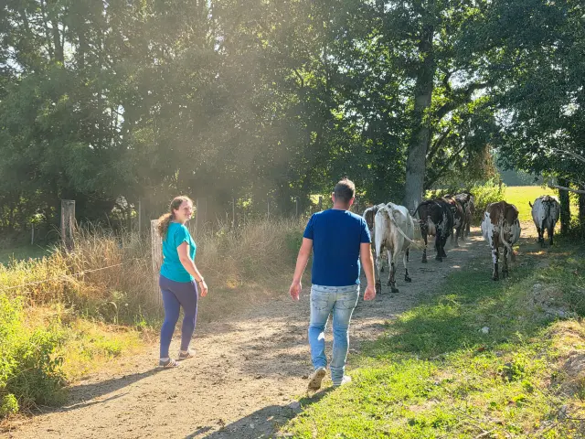 Je M Immerge Dans Le Quotidien Paysan De La Ferme Du Manoir D Anctoville Credit Otgtm Estelle Cohier 1896 1920px 13